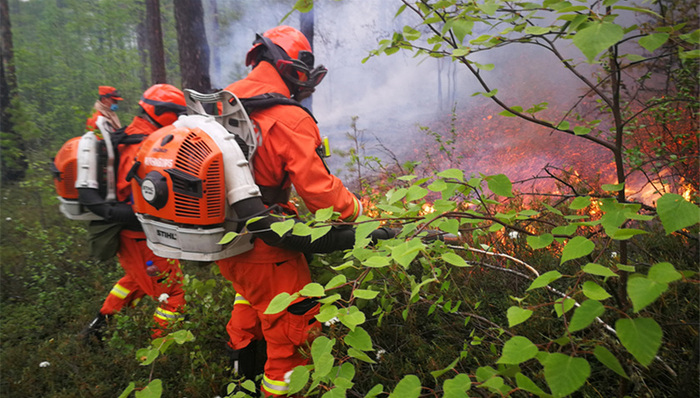 黑龙江呼中国家级自然保护区,扑救,林火,火场,森林部队,火线,灭火飞机,森林防火,兵力,会车
