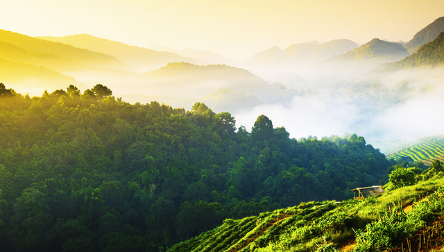 习近平,生态文明,老百姓,生态环境保护,时间表,五大体系,绿色银行,讲习所,思想,党的根本宗旨