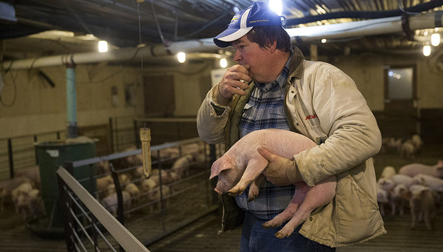 墨西哥出手了！宣布对美国部分农产品征收20%关税