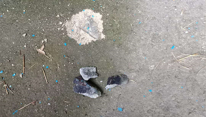 社会热点,地方新闻精选