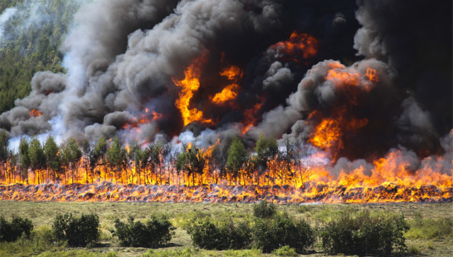 黑龙江,大兴安岭,林火,扑灭,12公里