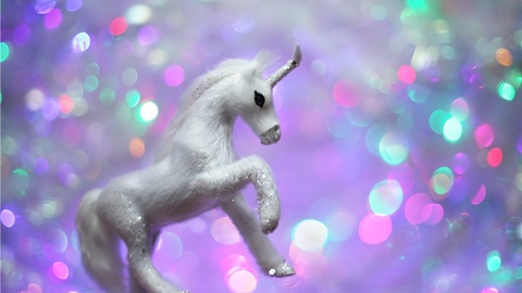 六只独角兽“打新”基金神速获批 三年封闭期考验投资人