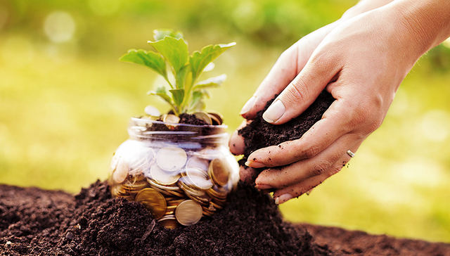 阿里、复星、经纬中国都是宝宝树股东，这家估值140亿的母婴社交平台未来如何定位？