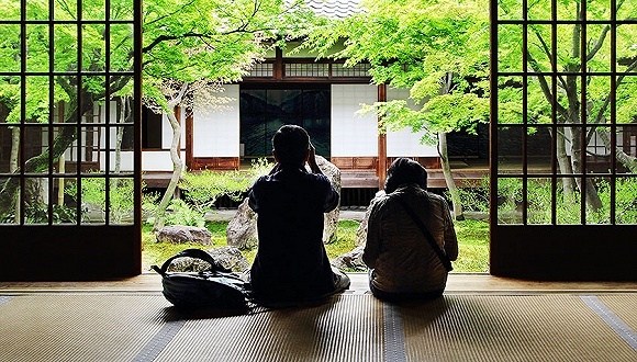 旅游风向标,民宿