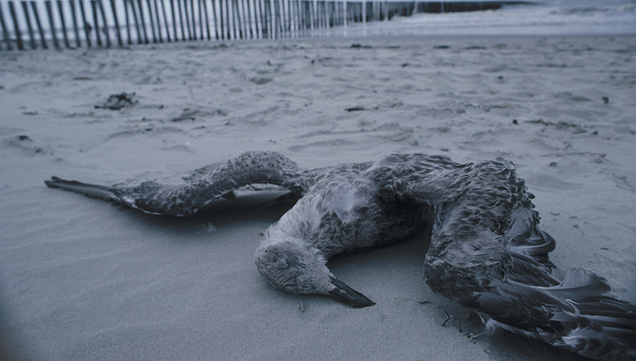 天下故事,惊奇的发现