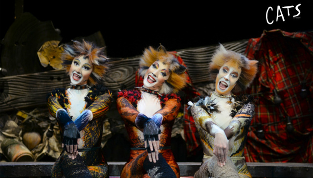中国观众启蒙音乐剧《猫》再度来华 将上演“最权威版本”