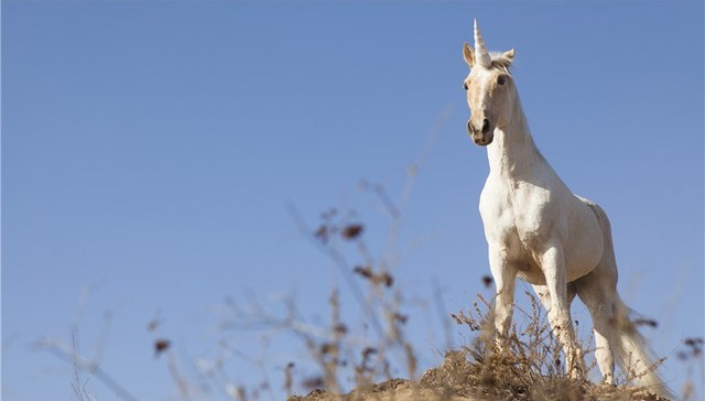 【独家】监管火线发通知规范独角兽基金销售 个人投资者规模控制在200亿