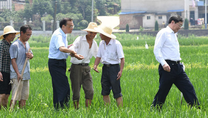 农民,水田,李克强,让路,湖南,衡阳