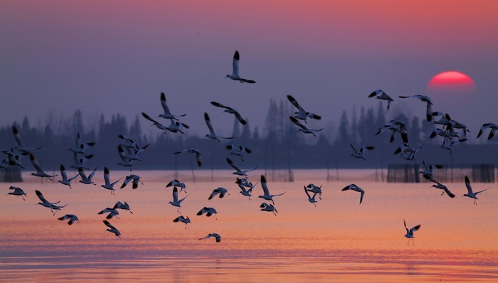 私家湖泊,洞庭湖,环保督察,生态环境部