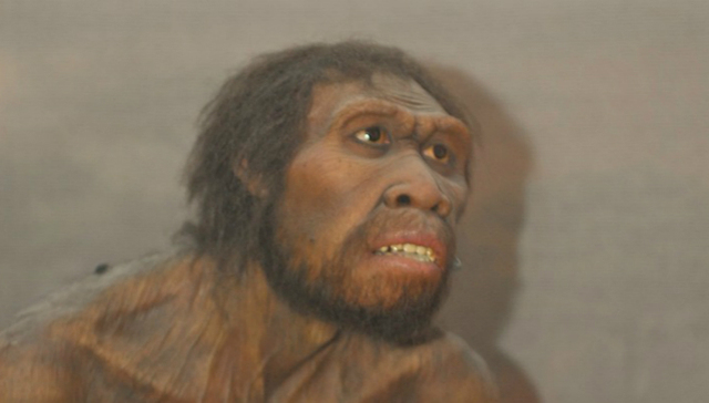 制造工具为人类发明语言铺平了道路？