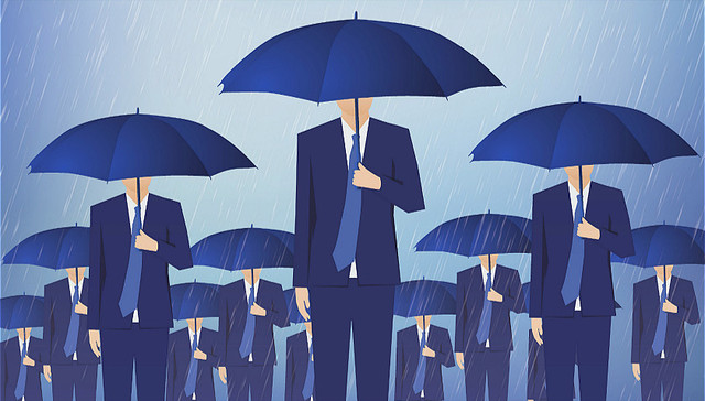 多样化,BCG,可口可乐,西门子,SAP,代际合作,生态系统