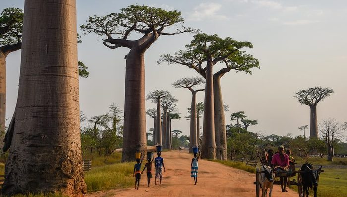 天下故事,惊奇的发现