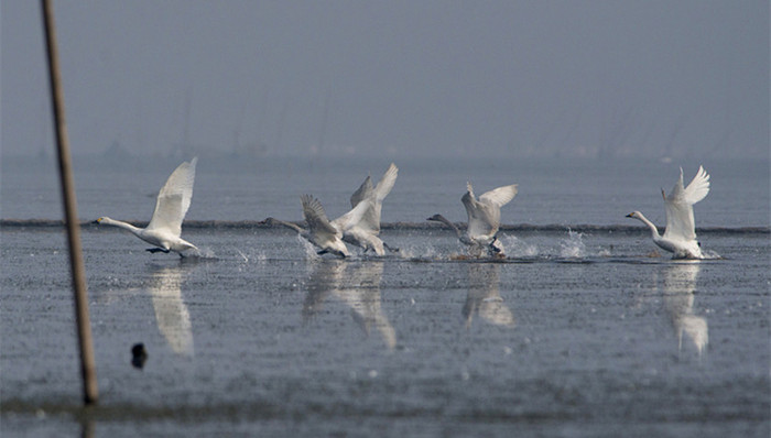 洞庭湖,私人湖泊