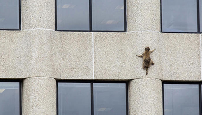 天下故事,惊奇的发现