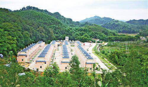 可造血 可复制 可持续 ——碧桂园集团探索精准扶贫和乡村振兴相结合长效扶贫之路