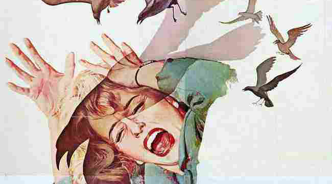 你又被放鸽子了。。