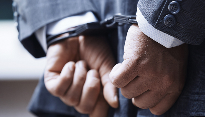 职务侵占罪,涉嫌,投案自首,追逃,江苏红通人员王颀投案,中央纪委,职务犯罪,省纪委,追赃,腐败分子