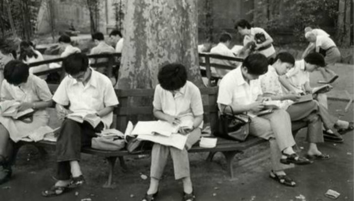 文学,中国文学,八十年代