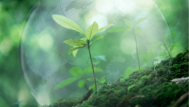 弄虚作假骗中央督察组 江西崇仁县长等4官员被问责