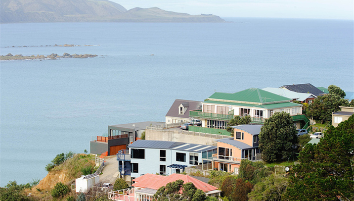 海外投资,新西兰