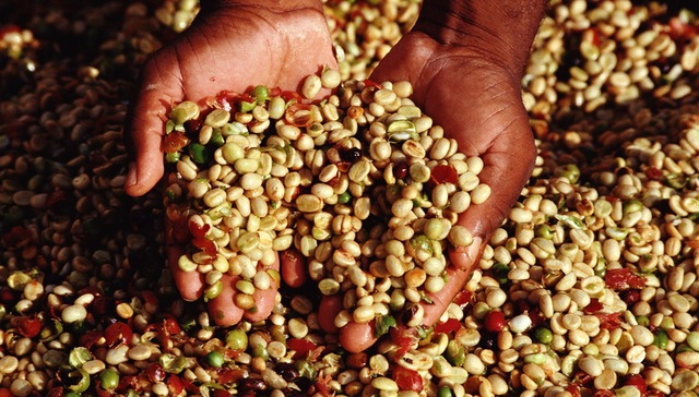 牛奶咖啡甘蔗酒：巴西经验带给中国“吃货”的启示