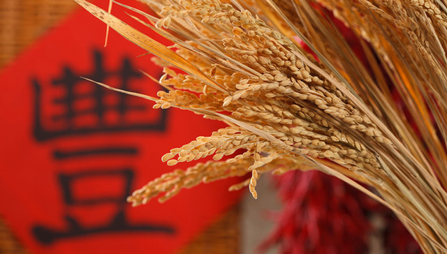 丰收节,农民,秋分,国务院,农业农村,中国,报料,收悉,农历,2018年