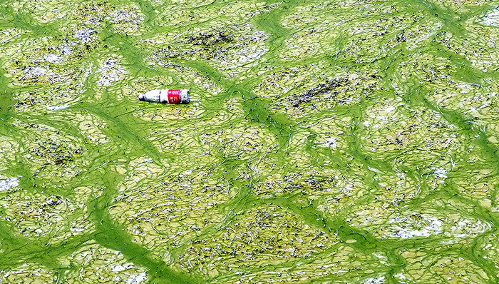 改革开放,时政热点