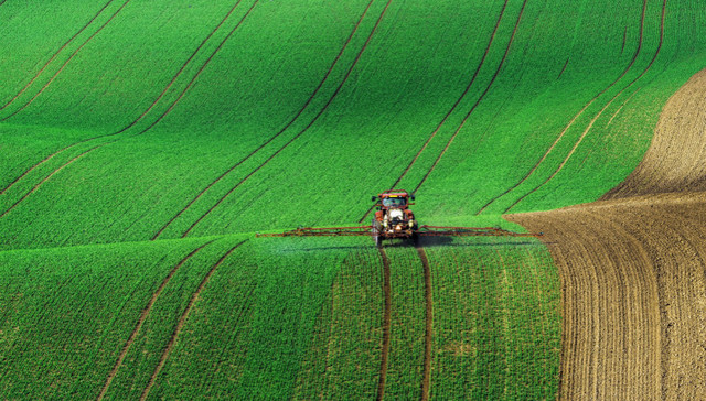 直通部委|农业农村部：节俭庆祝中国农民丰收节 商务部将发布新版外资负面清单