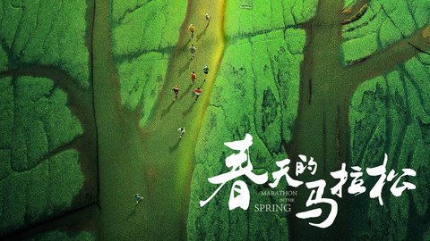 【上海电影节】浙江取材上海主创 《春天的马拉松》讴歌改革开放四十周年