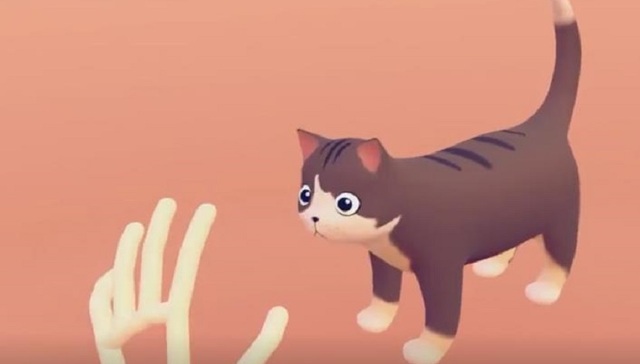 解剖式吸猫，可能会打破你对猫的美好幻想