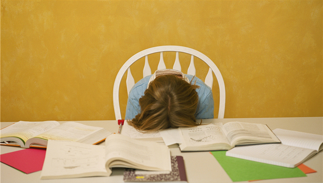 新华社,安徽省幼儿园,亲子班