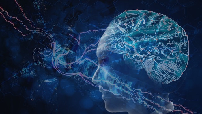 智商,科技,社交媒体