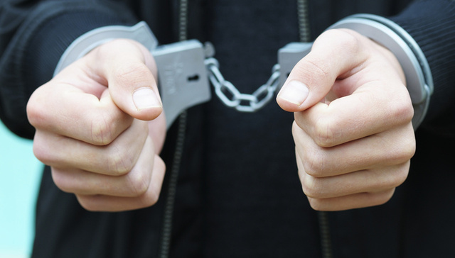 赖明敏外逃17年回国投案 “百名红通”已到案53人