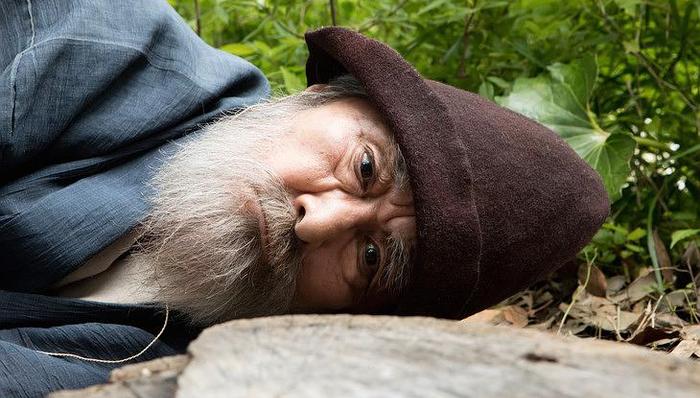 电影,奇葩,外界,世间,天地,任性,园子,导演,啄木鸟和雨,横道世之介