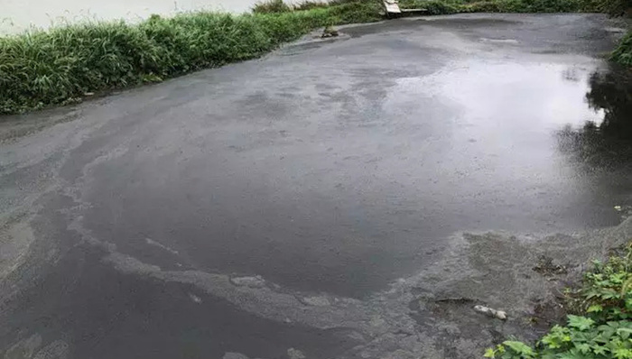 九江,都昌县,环境问题,县委县政府,治理不力,中央环保督察,回头看