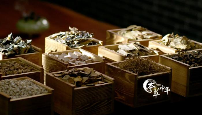 视频网站牵手纪录片，会玩出哪些新花样？