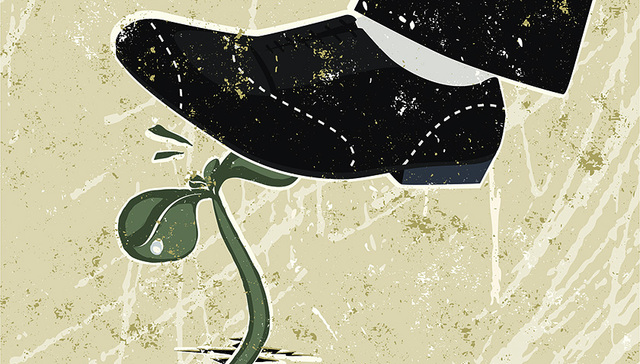 定向,降准,债转股