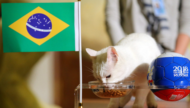 猜对了德国爆冷输球 高盛这次预测英格兰和巴西会师决赛