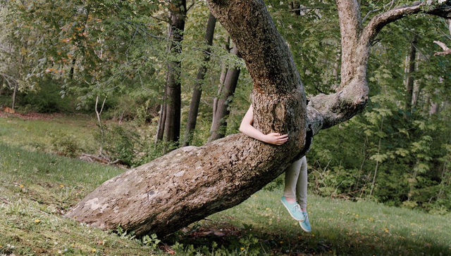 肖像照中的人与自然，相互烘托彼此的美