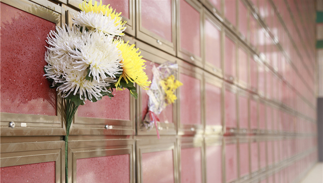 民政部,活人墓,天价墓