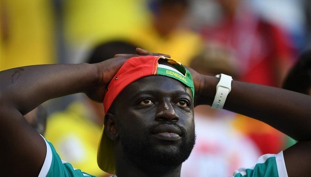 世界杯,非洲,金元足球