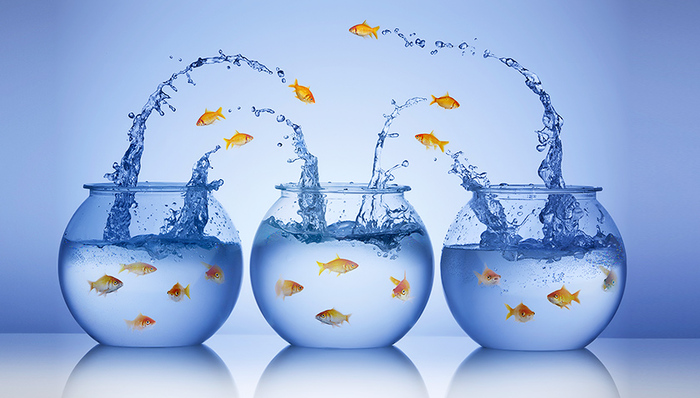 破净潮中的危与机