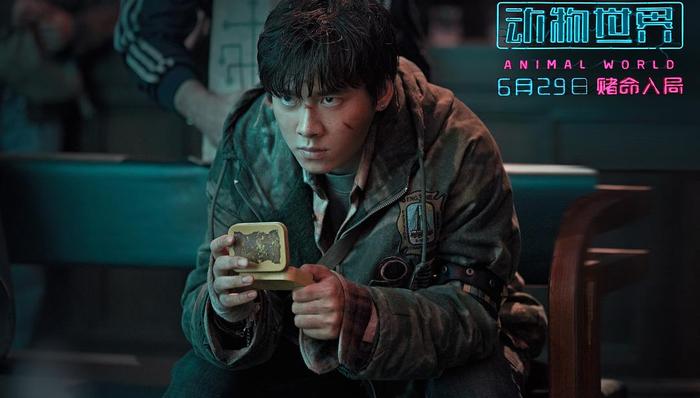 动物世界,郑开司,电影,动作戏,故事,视频,韩延,分歧者,移动迷宫,饥饿游戏