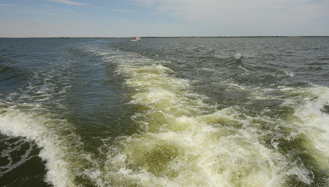内源污染,生态环境监测,治理思路,治理规划,生态环境治理,督察工作,农业面源污染,规划编制,环保,水