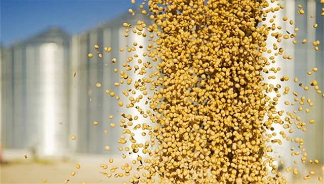 直通部委|三部门：转基因食用植物油应显著标示 税总严打骗取出口退税