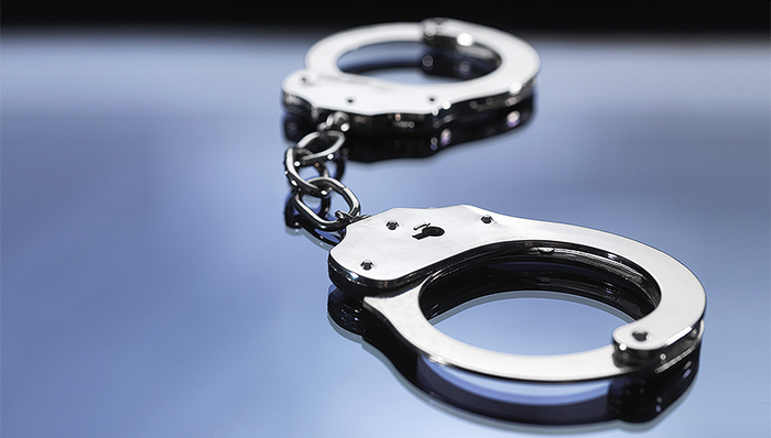 陈杰人,XX,被抓,敲诈勒索,nephew,粉丝,金钱交易,湖南日报,公益时报,自留地