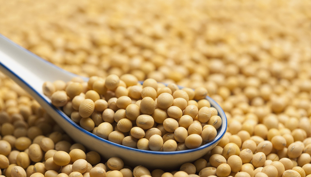 人民日报：中国已连续3周未新增采购美国大豆