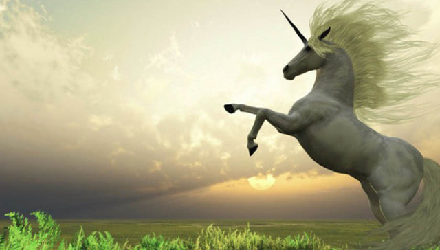 独角兽,破发,IPO,期限错配,资金池,LP,一级市场,资金面,港股,募资