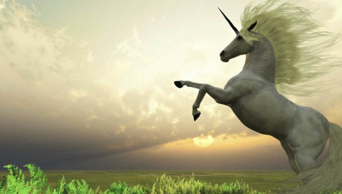 独角兽,破发,IPO,期限错配,资金池,LP,一级市场,资金面,港股,募资