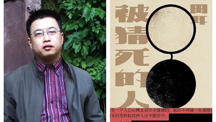 小说家,严肃对话,中国文学